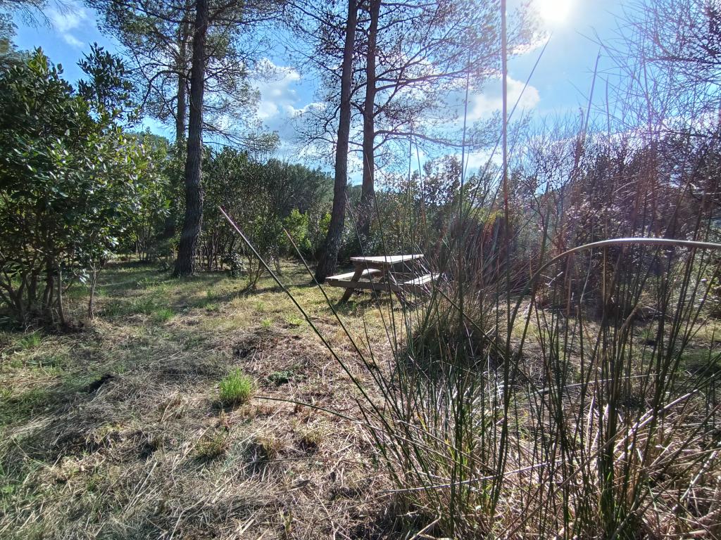 Chambre d'hôtes - Pleine nature - Grand calme