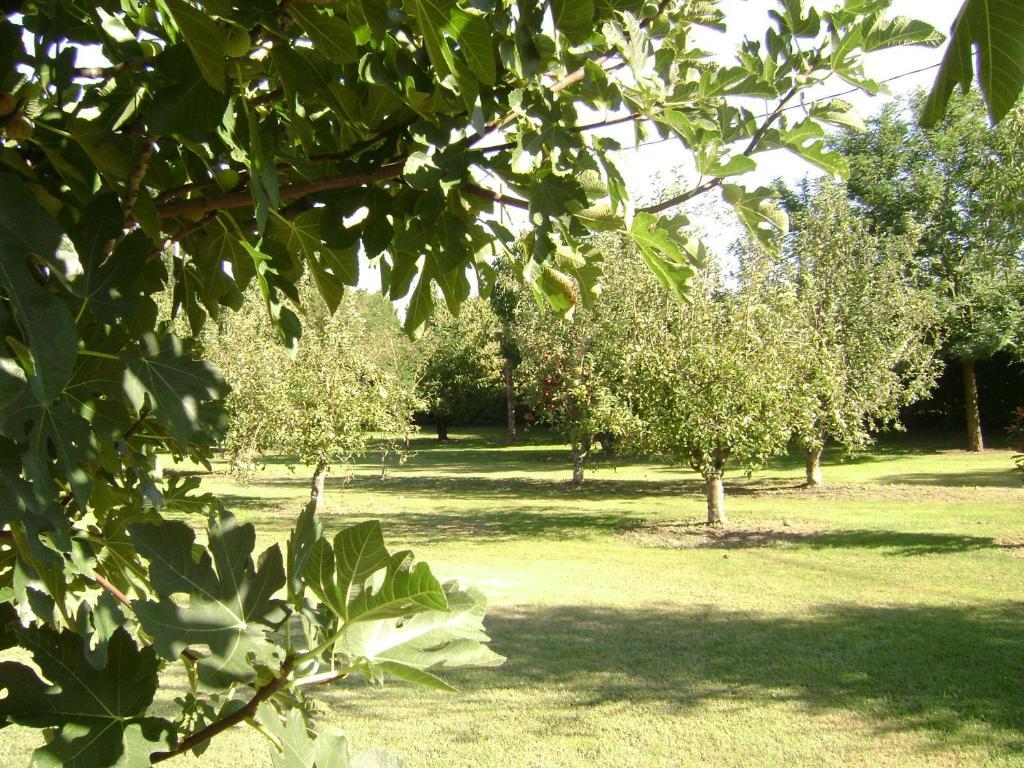 La Gourmandine vous propose un gîte et des chambres d'hôtes dans un havre de paix et de bien être, au pied des Alpilles et au centre de multiples activités culturelles.