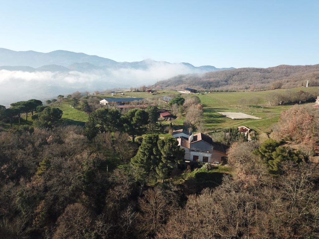 Gîte rural sous les grnds pins