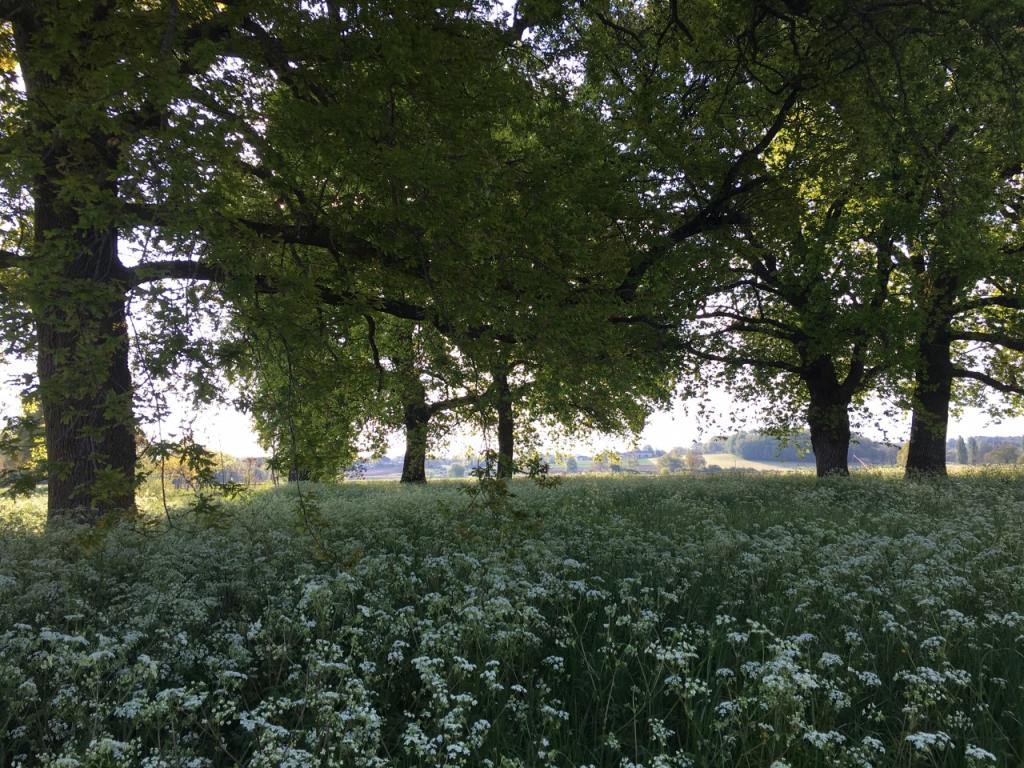 Chambre Individuelle dans réserve Naturelle