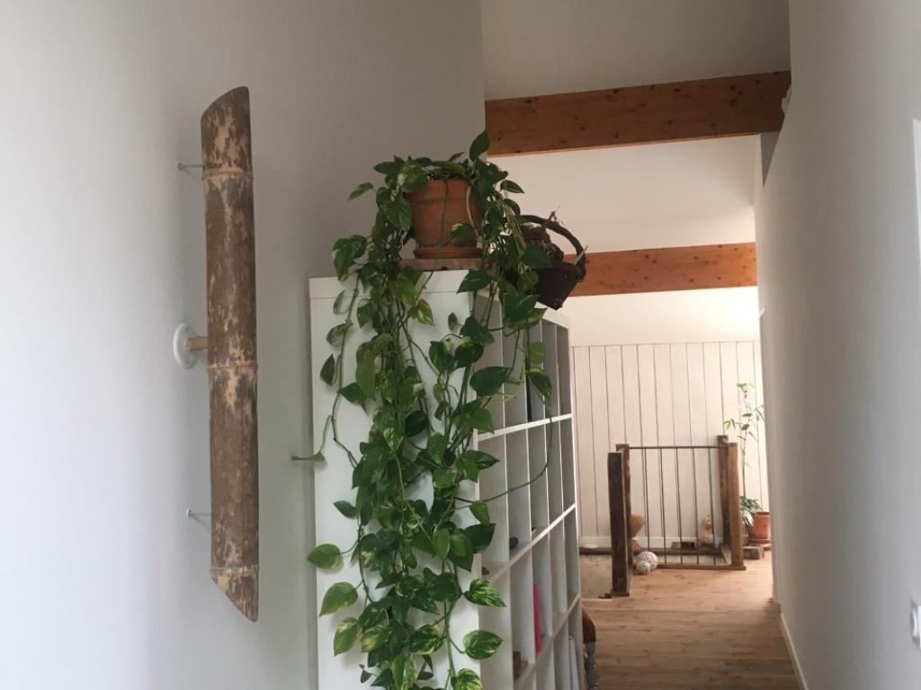 Chambre Individuelle dans réserve Naturelle