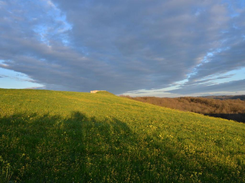 Grande yourte sous les chênes