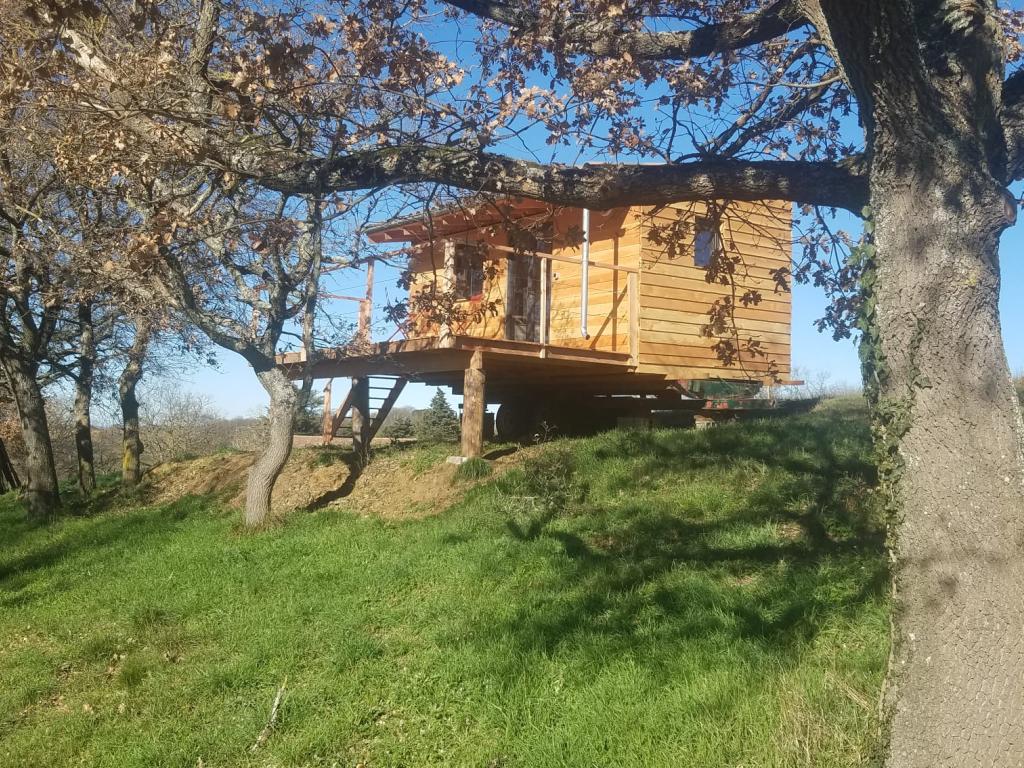 Tiny House vue Pyrénées dans une ferme bio