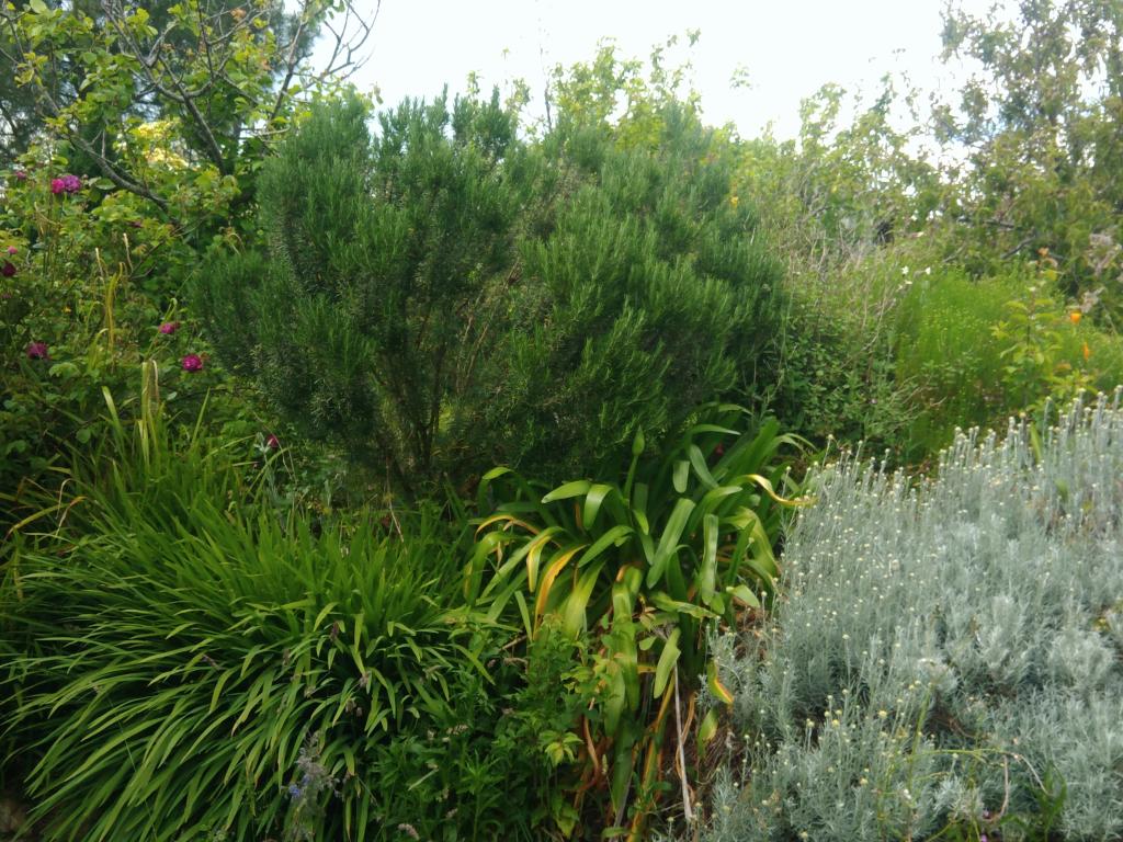 Gîte 3 épis gîte de france,  bord de mer ,proche de sentiers côtiers et d'un grand site dunaire, jardin sans vis à vis