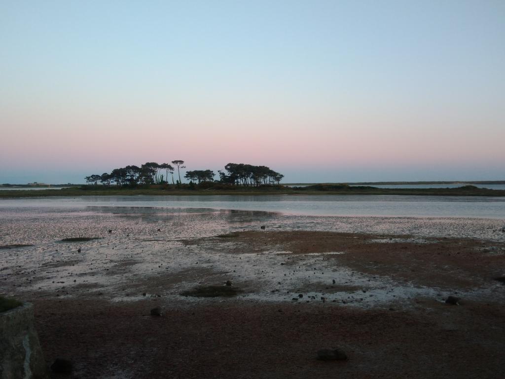 Gîte 3 épis gîte de france,  bord de mer ,proche de sentiers côtiers et d'un grand site dunaire, jardin sans vis à vis