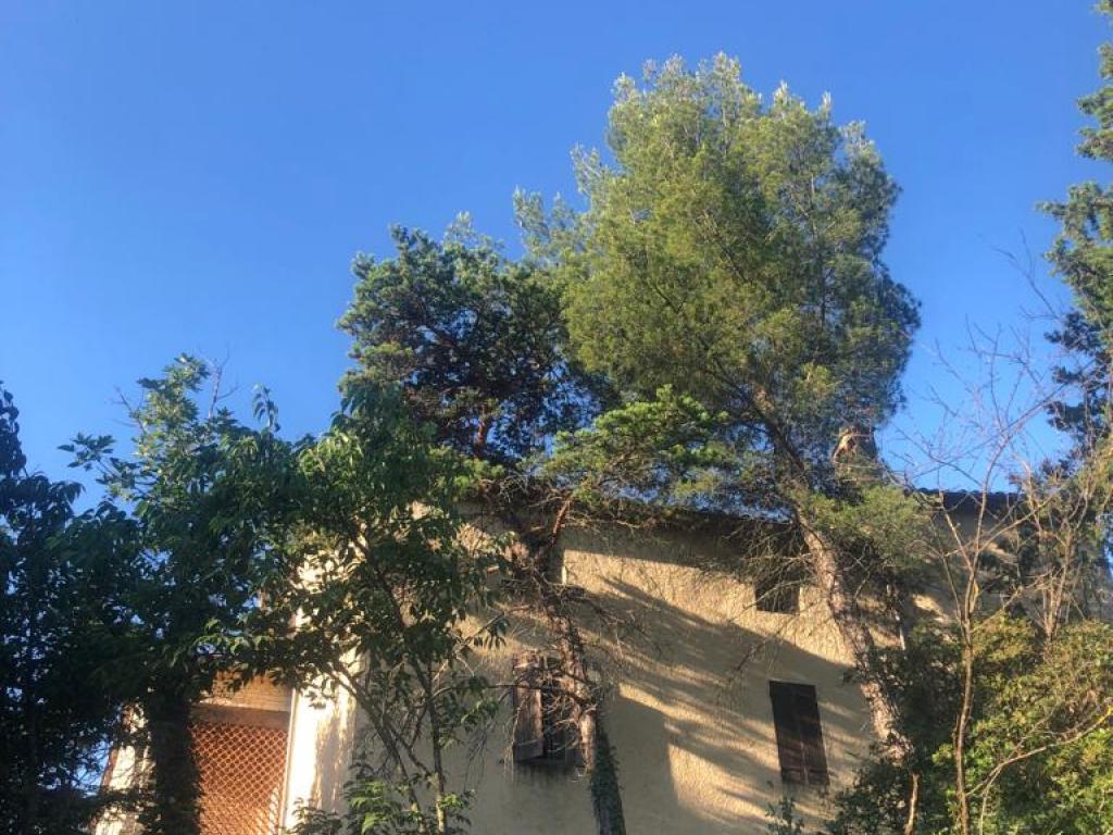 La maison des vacances