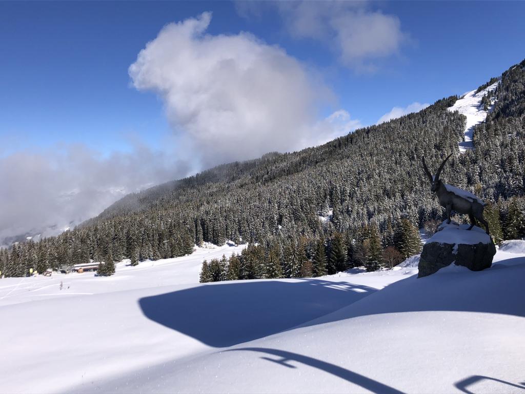 Chalet Luc - Méribel Les Allues