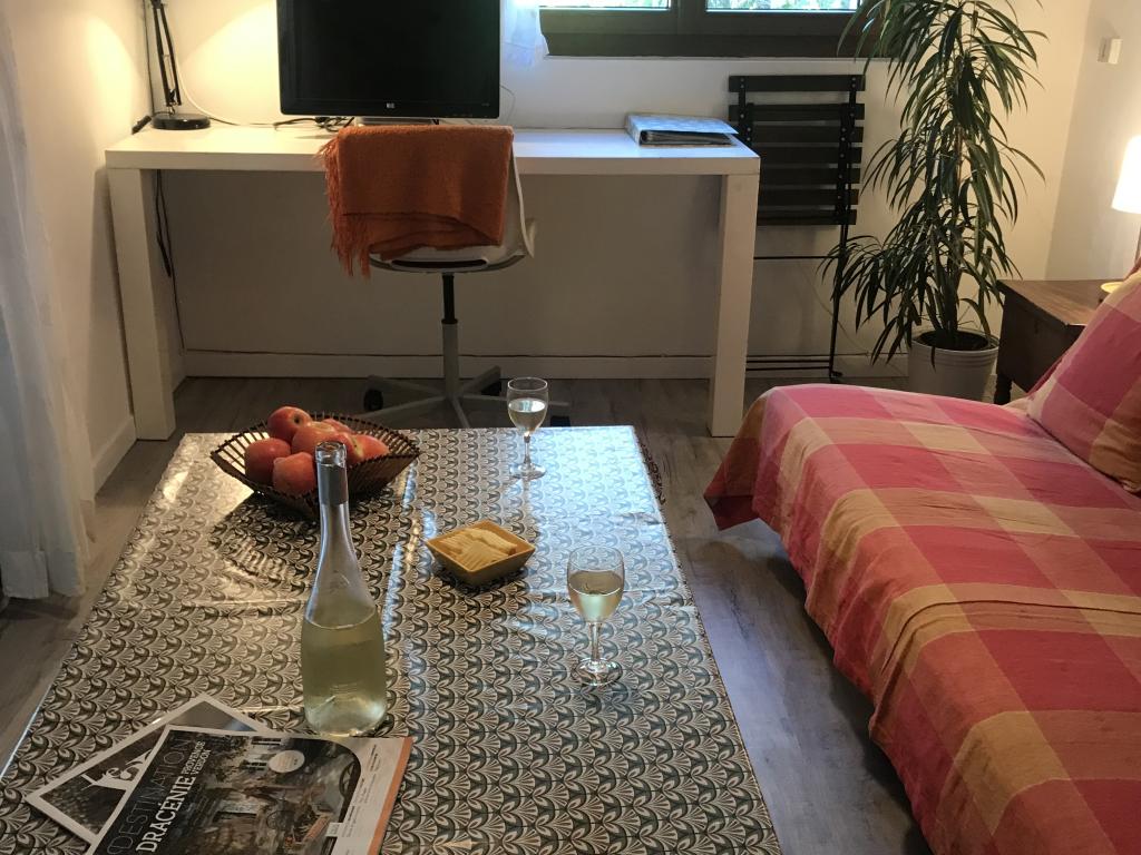 Charmant hébergement dans un écrin de verdure plein sud . Idéal pour les besoins urgents de calme !