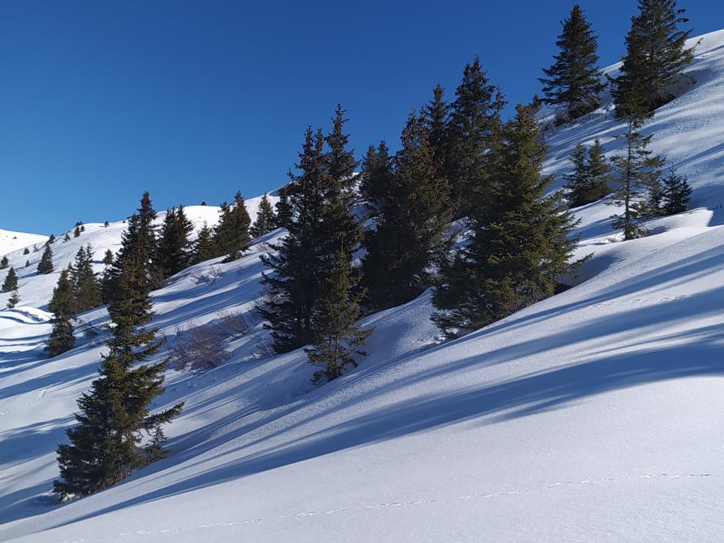Location de vacances à la montagne :  chalet situé dans le domaine skiable "Les 3 Vallées", paisible et spacieux. Idéal pour les familles avec enfants