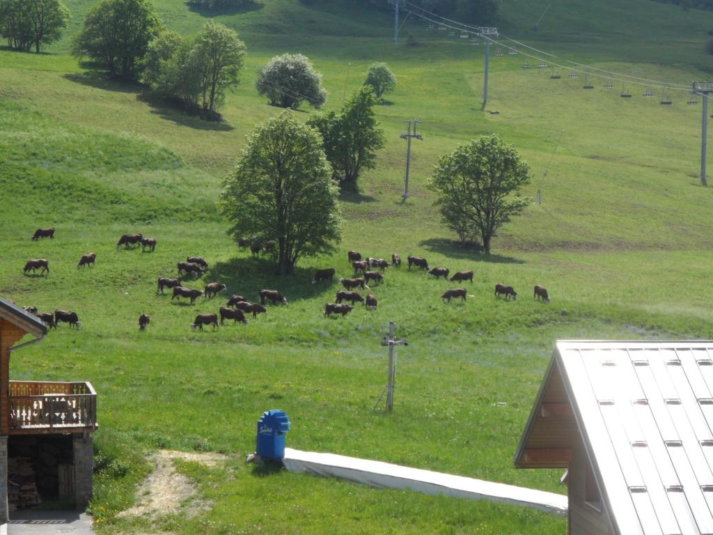 "Les Marmotons"