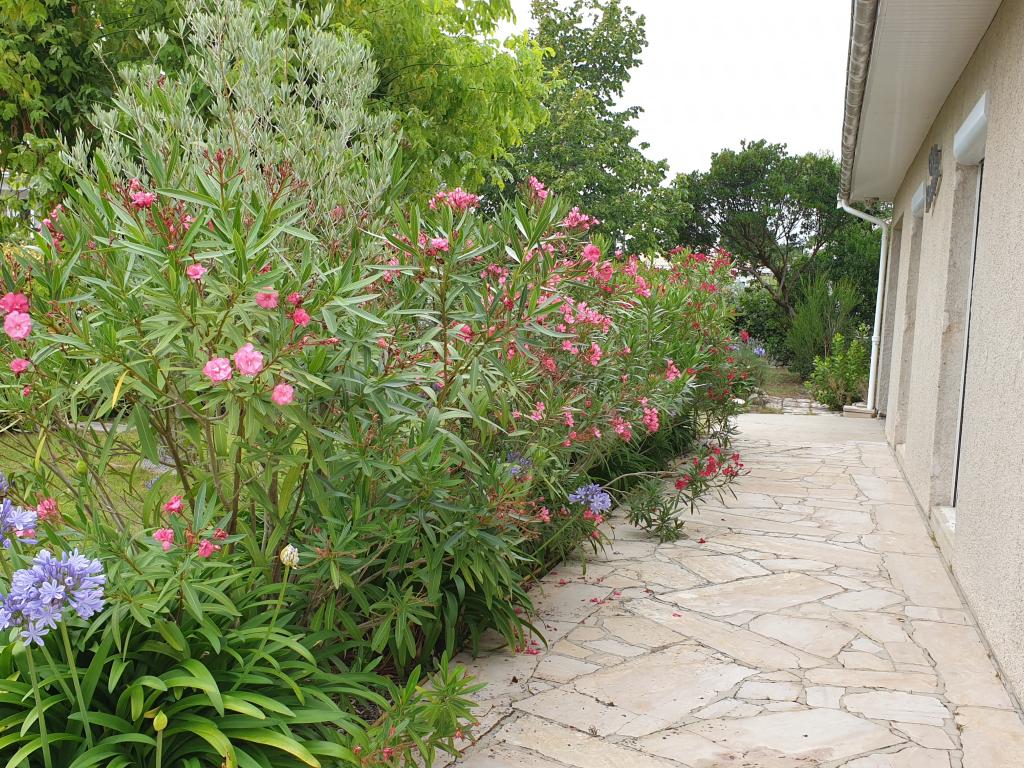 villa classée trois étoiles,centre ville avec jardin cloturé et arboré de 950m2