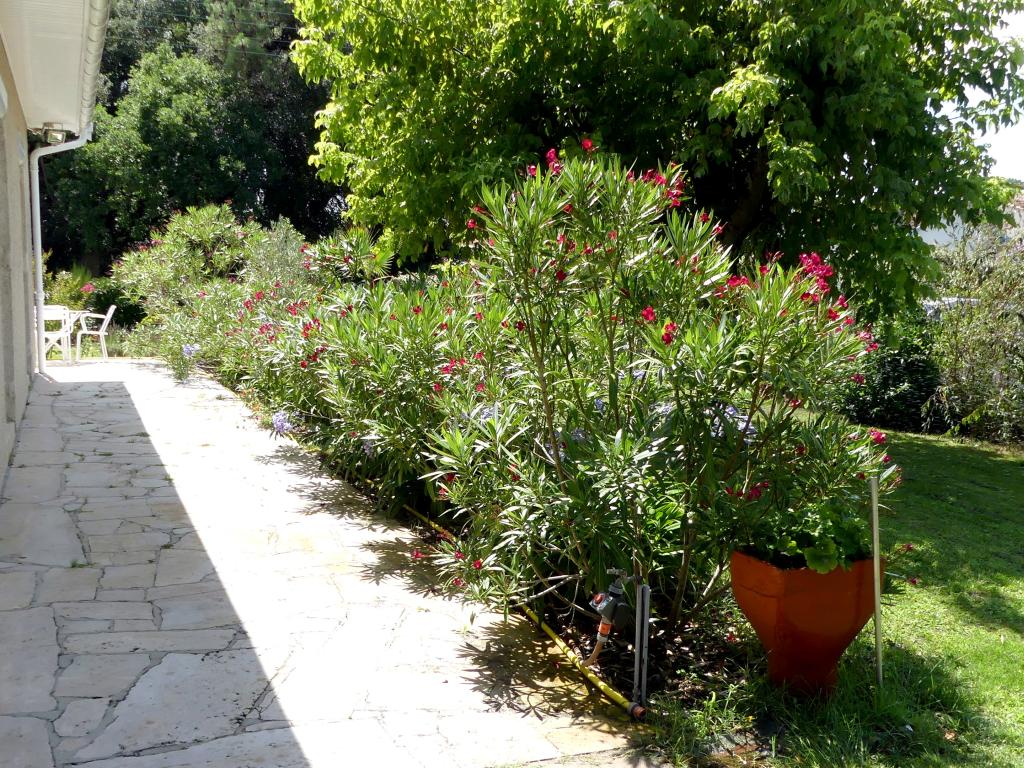 villa classée trois étoiles,centre ville avec jardin cloturé et arboré de 950m2