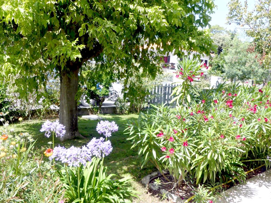 villa classée trois étoiles,centre ville avec jardin cloturé et arboré de 950m2