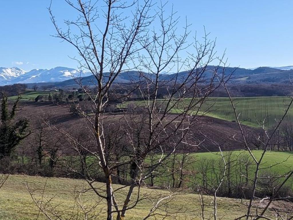 Cabanes dans les arbres - Vue sur Pyrénées