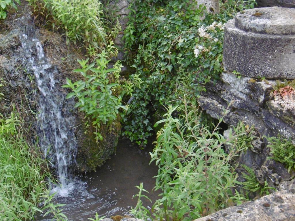 Gite Ancien Lavoir - halte équestre