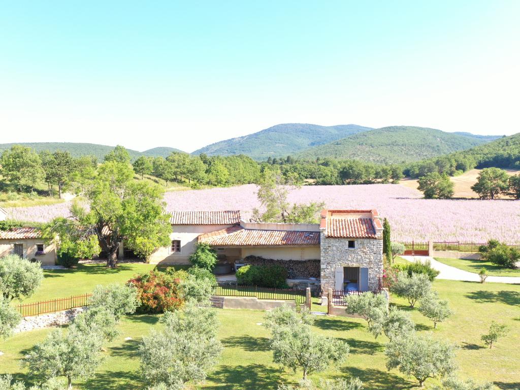 Propriété du 18e au milieu des oliviers