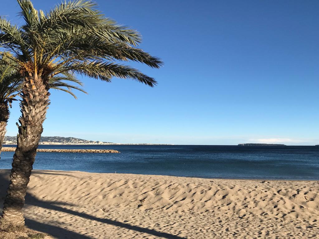 La Palme d’Or de Cannes