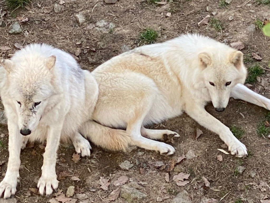 Profitez d'un oasis de Nature au cœur de la Lozère !