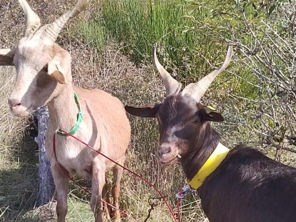 Profitez d'un oasis de Nature au cœur de la Lozère !