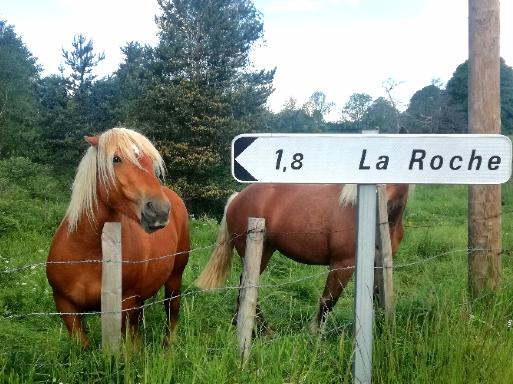 Profitez d'un oasis de Nature au cœur de la Lozère !