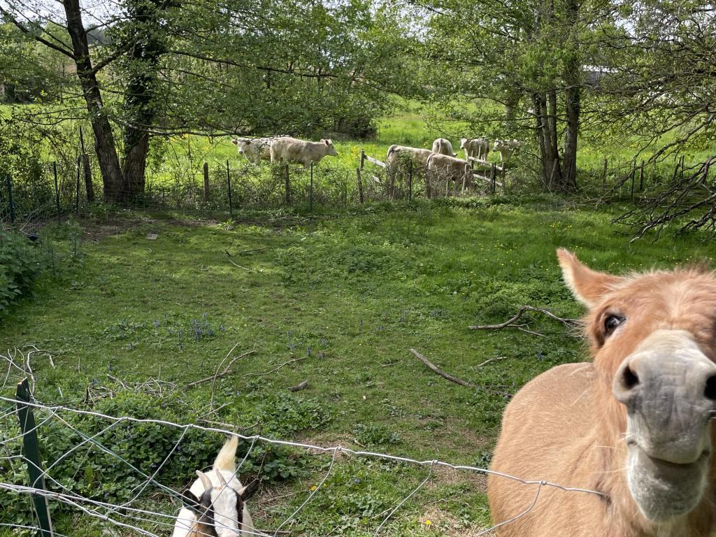 La Petite Maison : charme authentique et séjour atypique pour 4 - 15 minutes du Puy du Fou