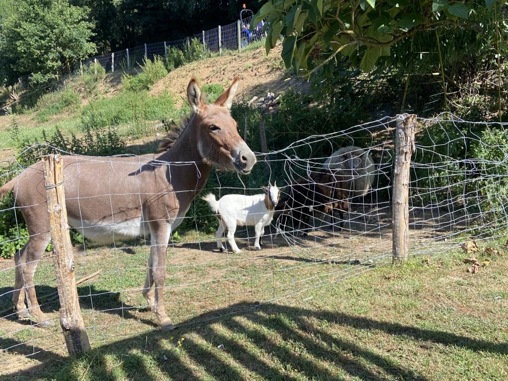 La Forge : chambre d’hôtes cosy et spacieuse pour 2 (possibilité pour 4 avec le canapé convertible)