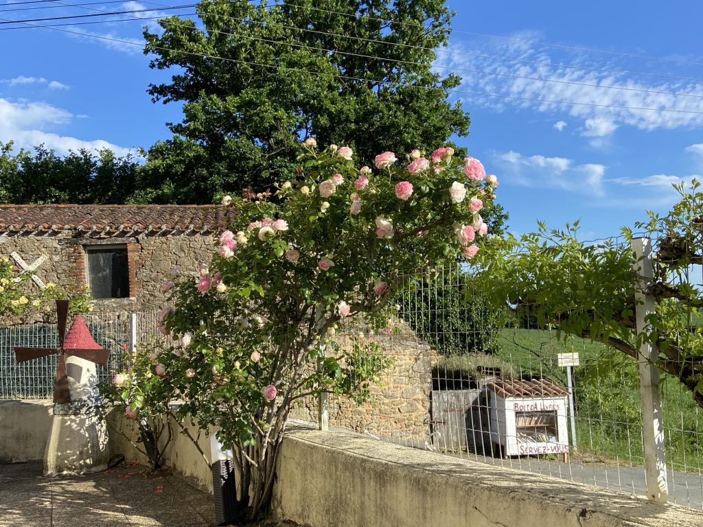 La Petite Maison : charme authentique et séjour atypique pour 4 - 15 minutes du Puy du Fou