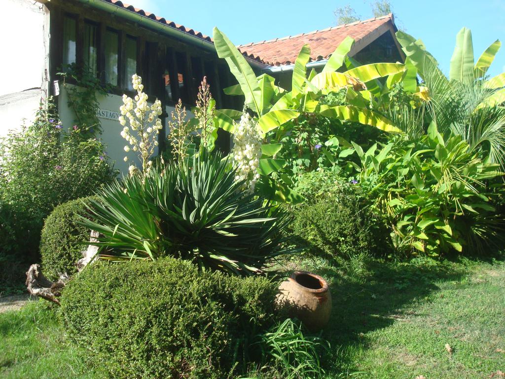 Authentic Bohème Zen Cottage**** Landes d'Armagnac, gîte à colombages