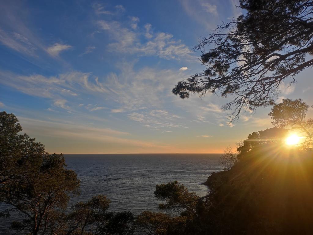Vacances en famille à la Presqu'île de Giens – Grand studio climatisé avec grande terrasse en rezdejardin, à 2 min des plages