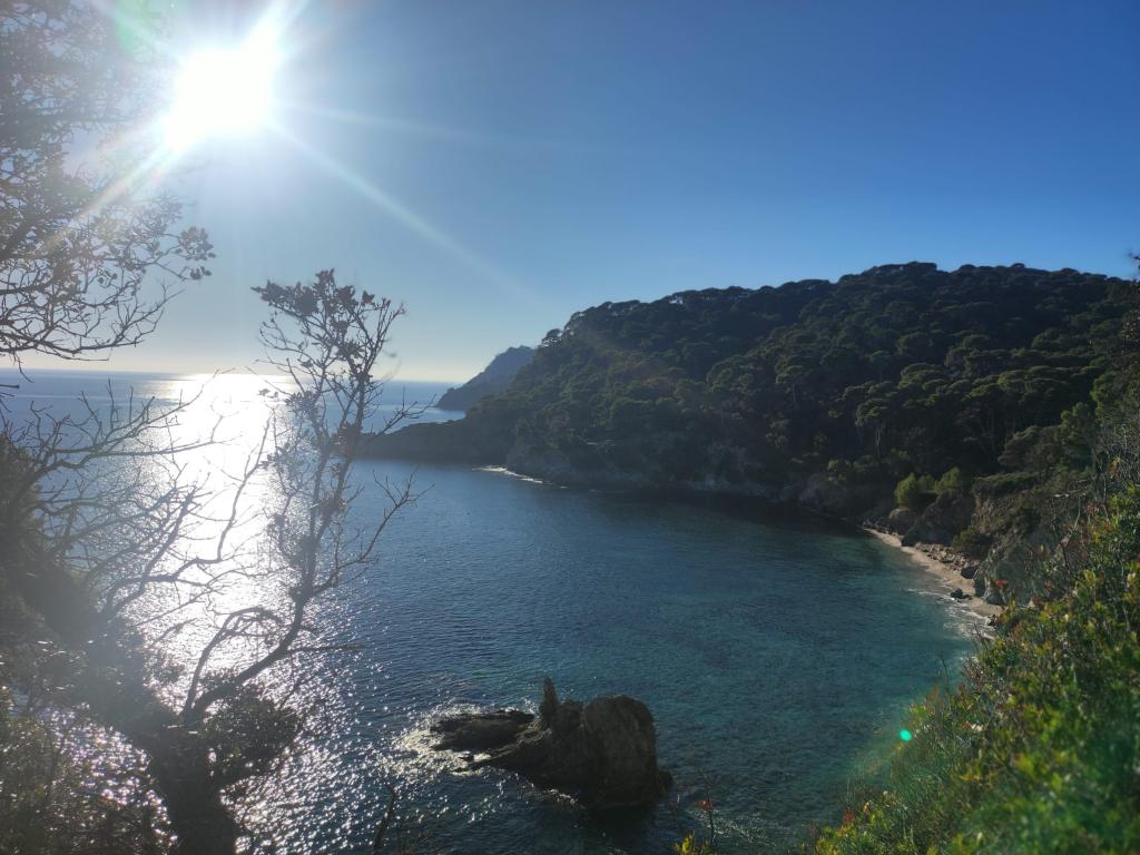 Vacances en famille à la Presqu'île de Giens – Grand studio climatisé avec grande terrasse en rezdejardin, à 2 min des plages