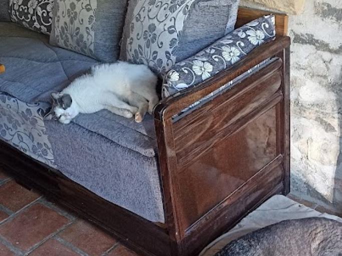 Gîte douillet au pied des pyrénées
