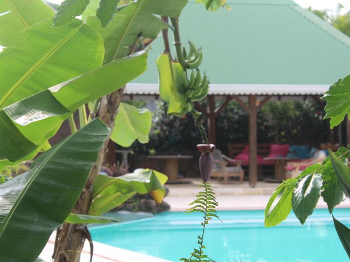 gite** 2 pers avec piscine et SPA