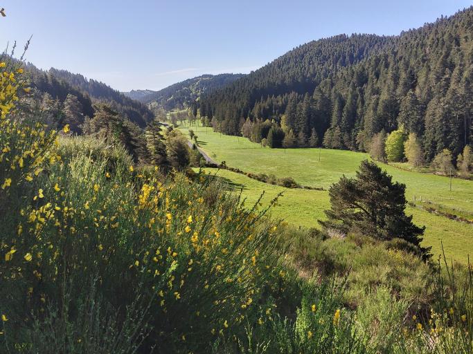 La Maison sous les Etoiles