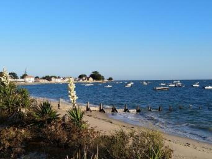 Comfortable Maison pour 10 à 50 metres de la mer- Noirmoutier (3 étoiles)
