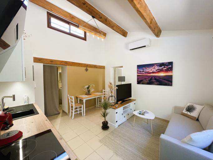 Maison élégante T2 - 2/4 pers - plain pied dans villa, tout confort, clim, 2min Thermes, terrasse