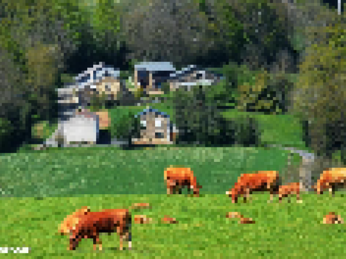 Gîte Pour famille animaux à câliner et des jeux pour tous