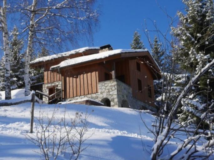 Chalet Chamois • La Plagne  • Paradiski Chalet Ski au pied à louer • 4 chambres - 10 personnes Altitude 1450m