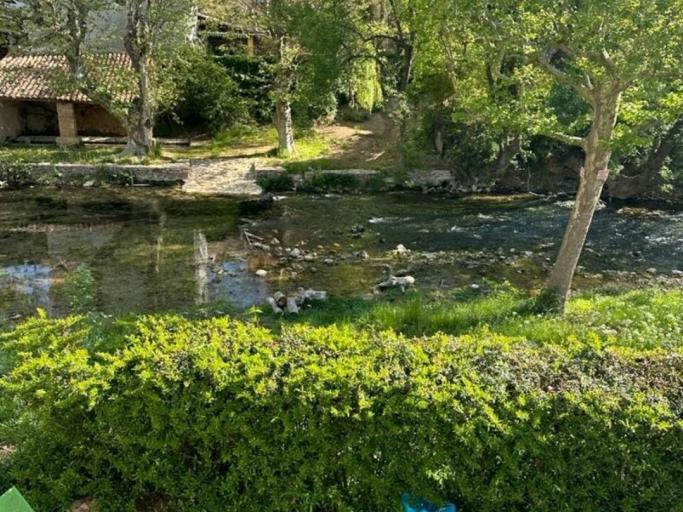 Nid d'Amour en Provence verte