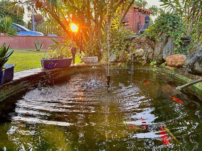 Un Nid Douillet en bord de plage !!