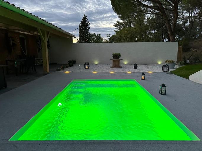 Loft "R"omain avec, piscine, SPA, Sauna, taille de billard/air hockey le tout privatif !!