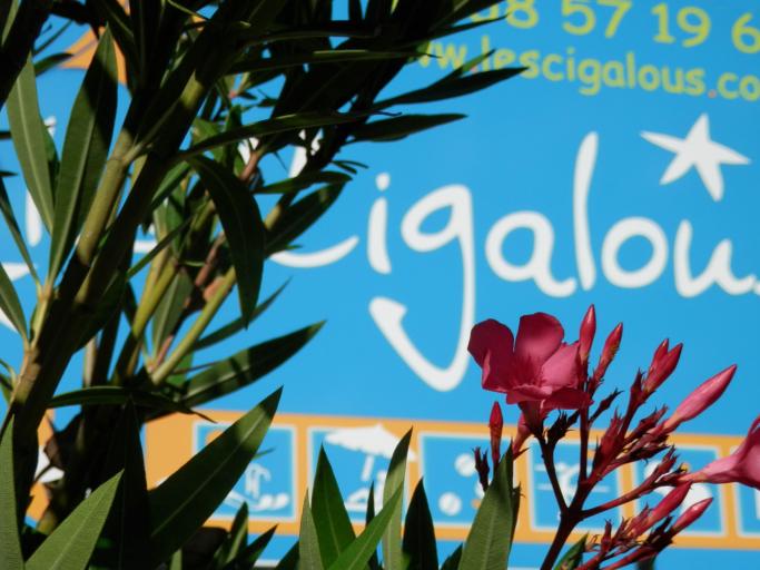 Les Cigalous  Gîtes climatisés avec piscine chauffée à Vallon Pont d'Arc