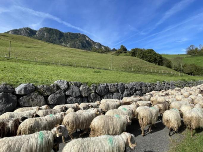 Gîte « Le Magnolia » : un écrin de verdure apaisant.