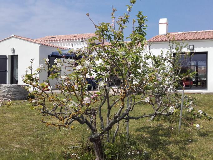 Très jolie maison noirmoutrine idéalement placée à 200m des plages, du port de l'Herbaudière et des commerces essentiels. Deux chambres, deux salles de bain.