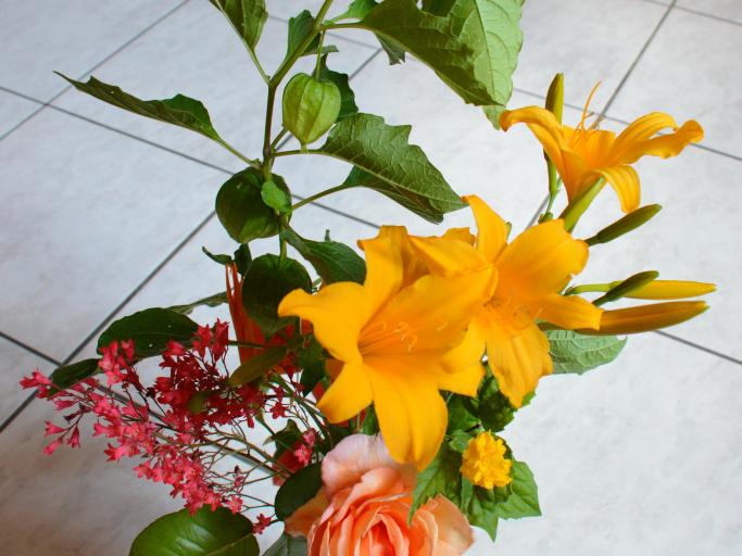 Gîte La Maison Bleue en Alsace à Bergheim, 2 personnes.