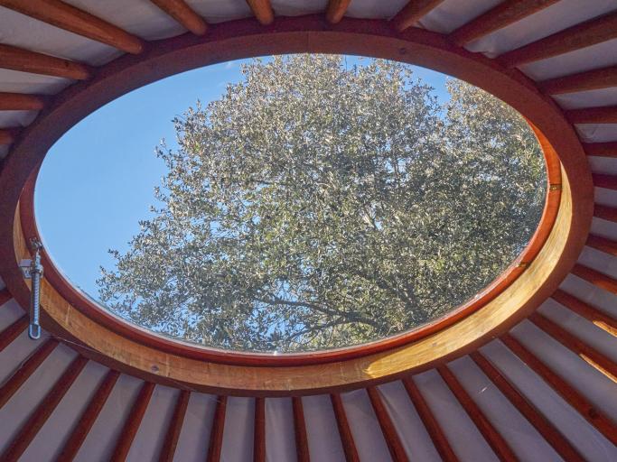 Ecolodges en Provence: La yourte