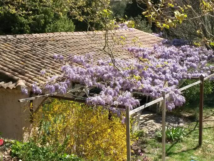 Gîte - Pleine nature - Grand calme