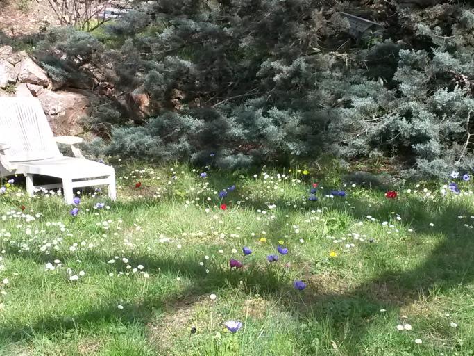 Chambre d'hôtes - Pleine nature - Grand calme