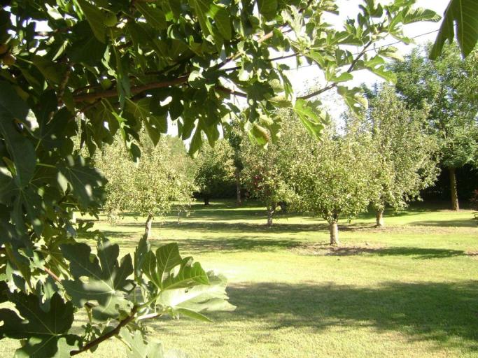 La Gourmandine vous propose un gîte et des chambres d'hôtes dans un havre de paix et de bien être, au pied des Alpilles et au centre de multiples activités culturelles.
