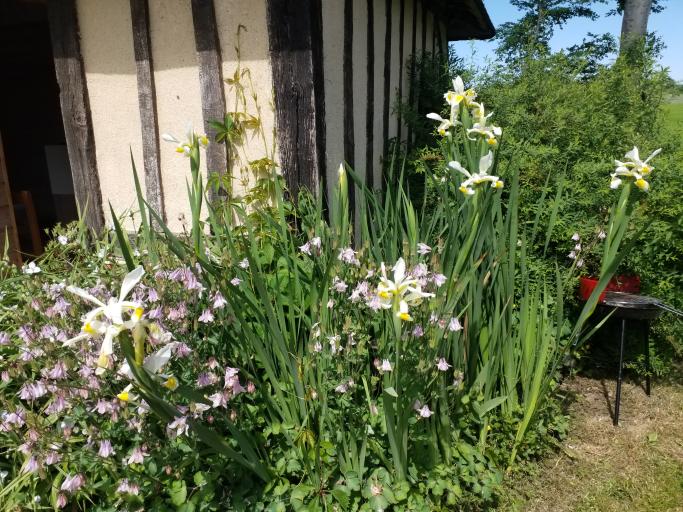 Gîte Normand les châtaigniers Studio