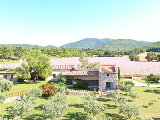 Propriété du 18e au milieu des oliviers